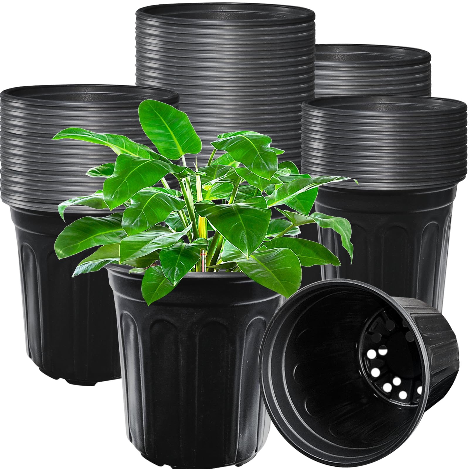 Jgalnim 60-pack 1-gallon nursery pots for seed starting and transplanting