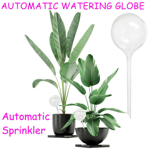 Jgalnim globe provides easy water level visibility for moisture checks