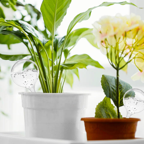 Jgalnim outdoor garden use with watering globes for patio plants hydration