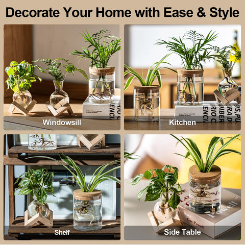 JGKYLDZ borosilicate glass durability for long-lasting propagation vessels.