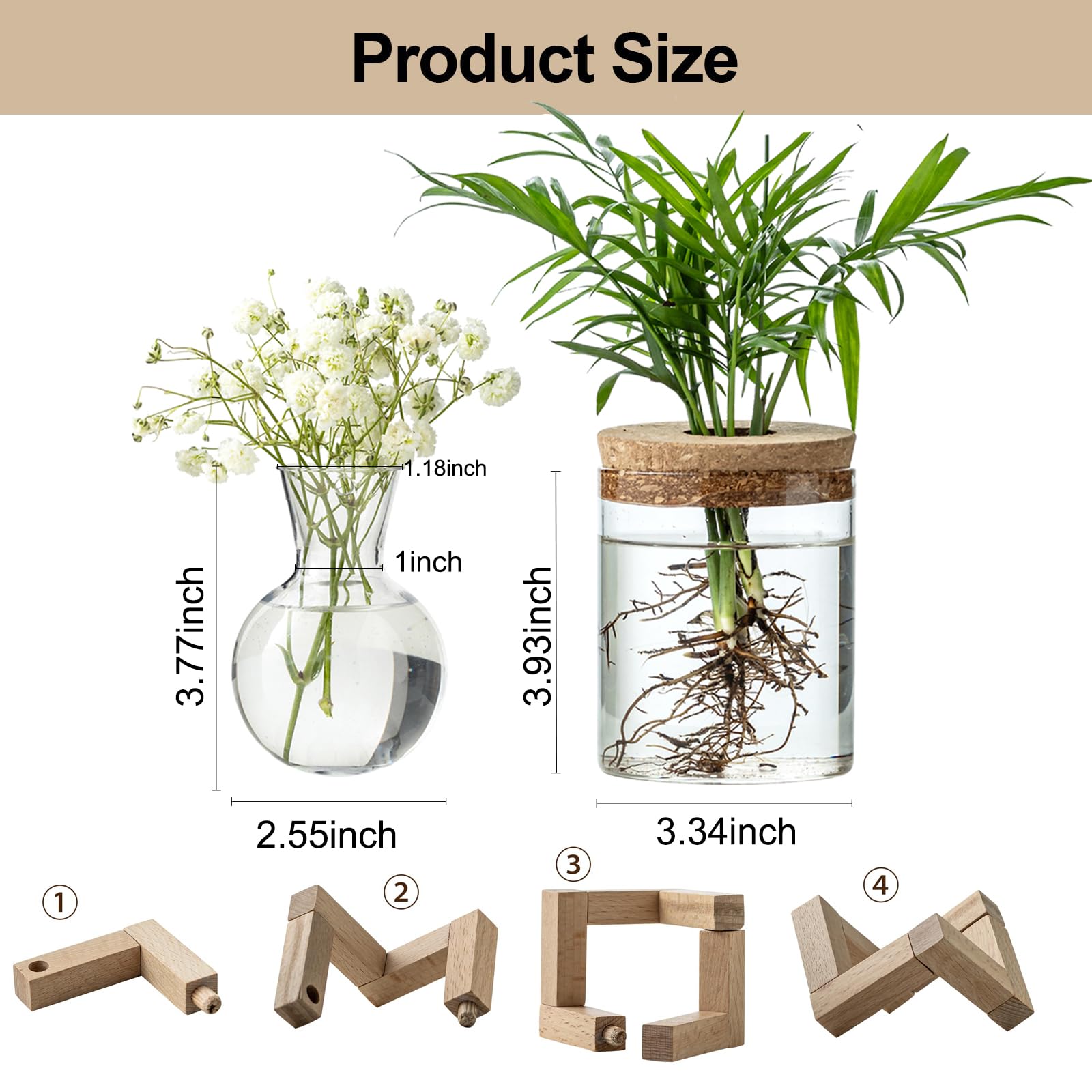 JGKYLDZ clear glass propagation vases showing root growth.