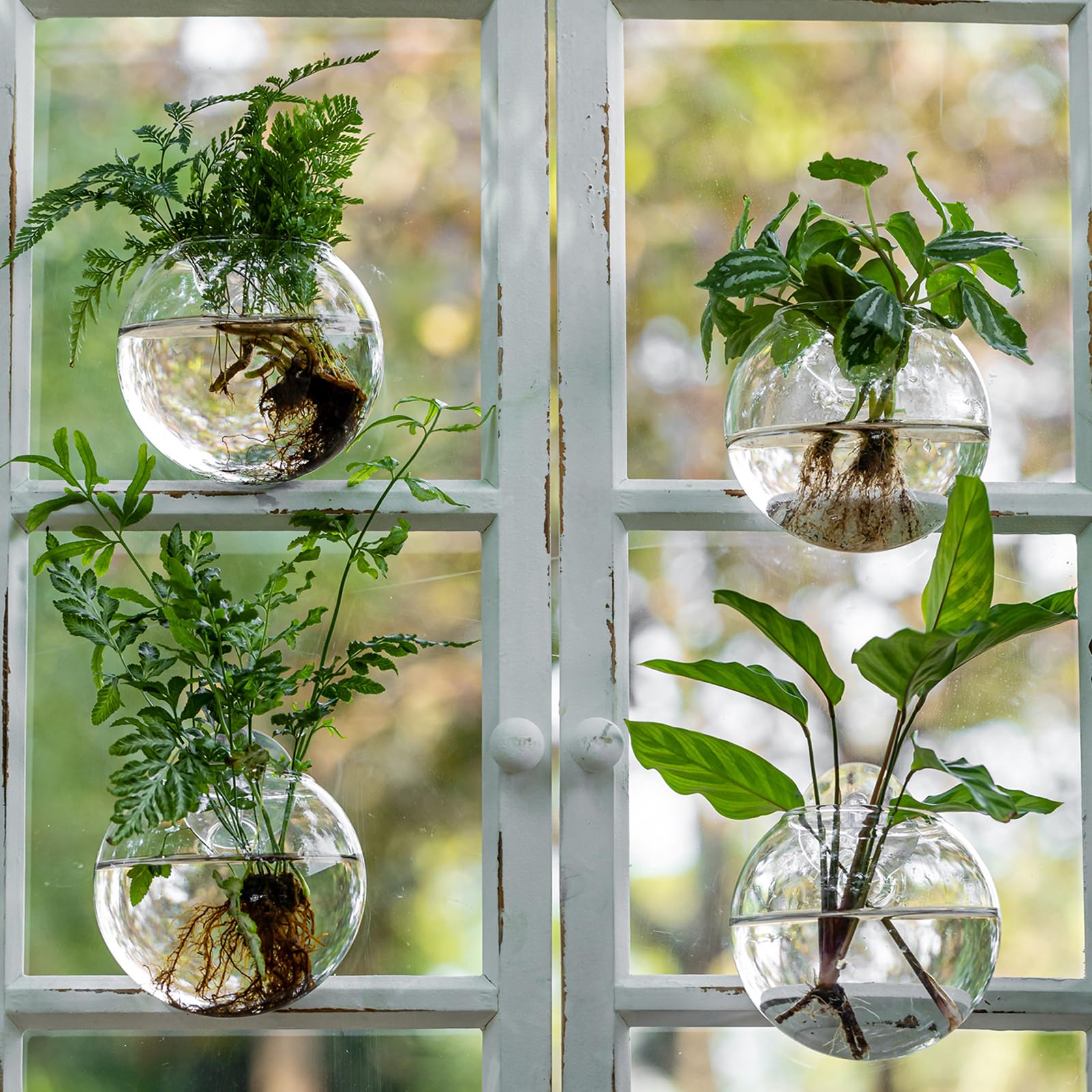 JGKYLDZ clear glass view to monitor roots and water levels.