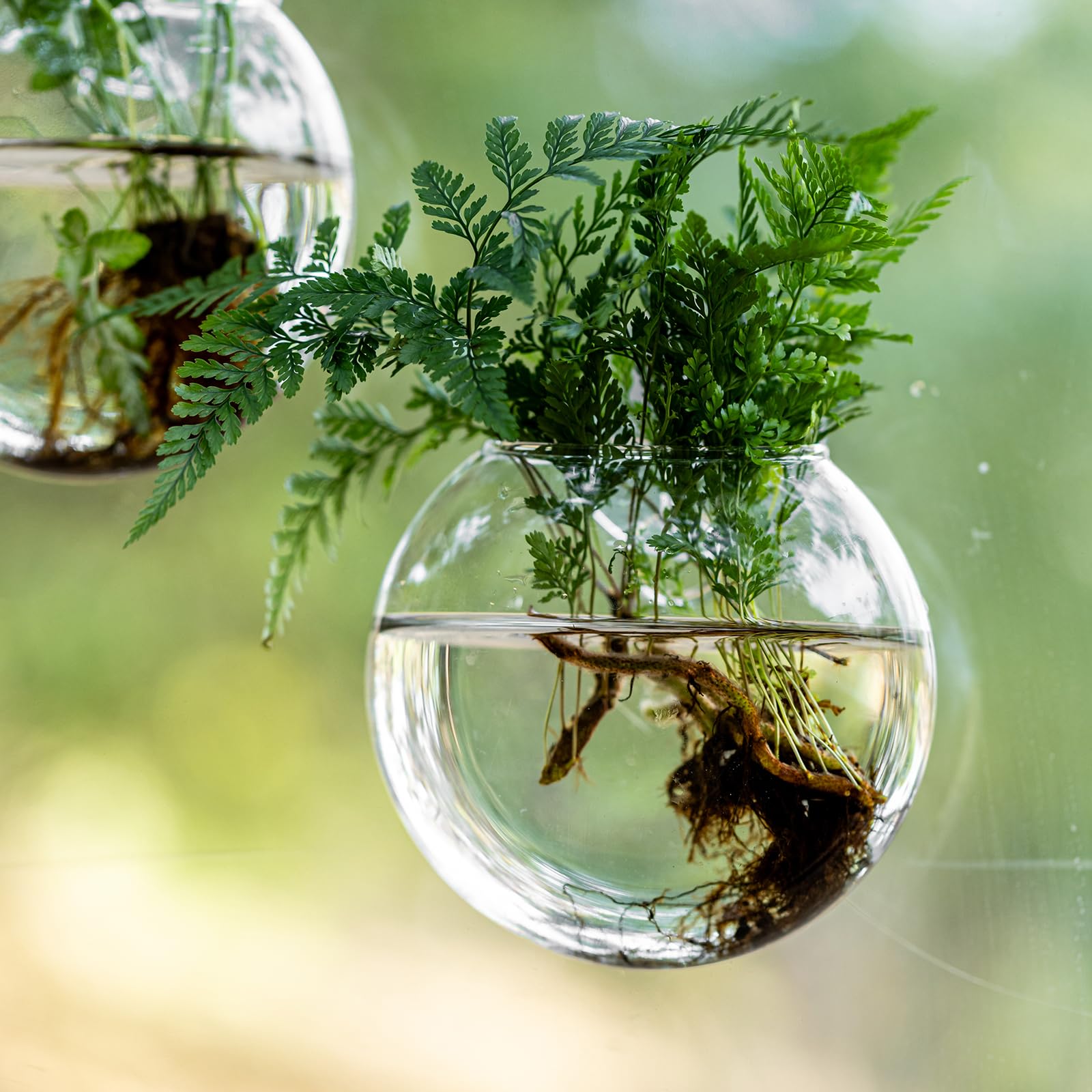 JGKYLDZ gift-ready station for plant lovers seeking stylish propagation.
