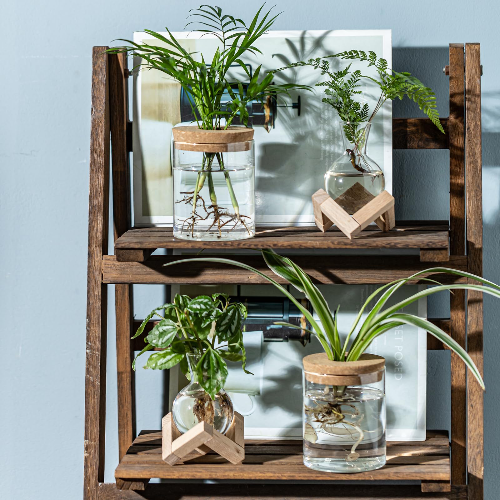 JGKYLDZ gift-ready propagation vases for plant lovers.