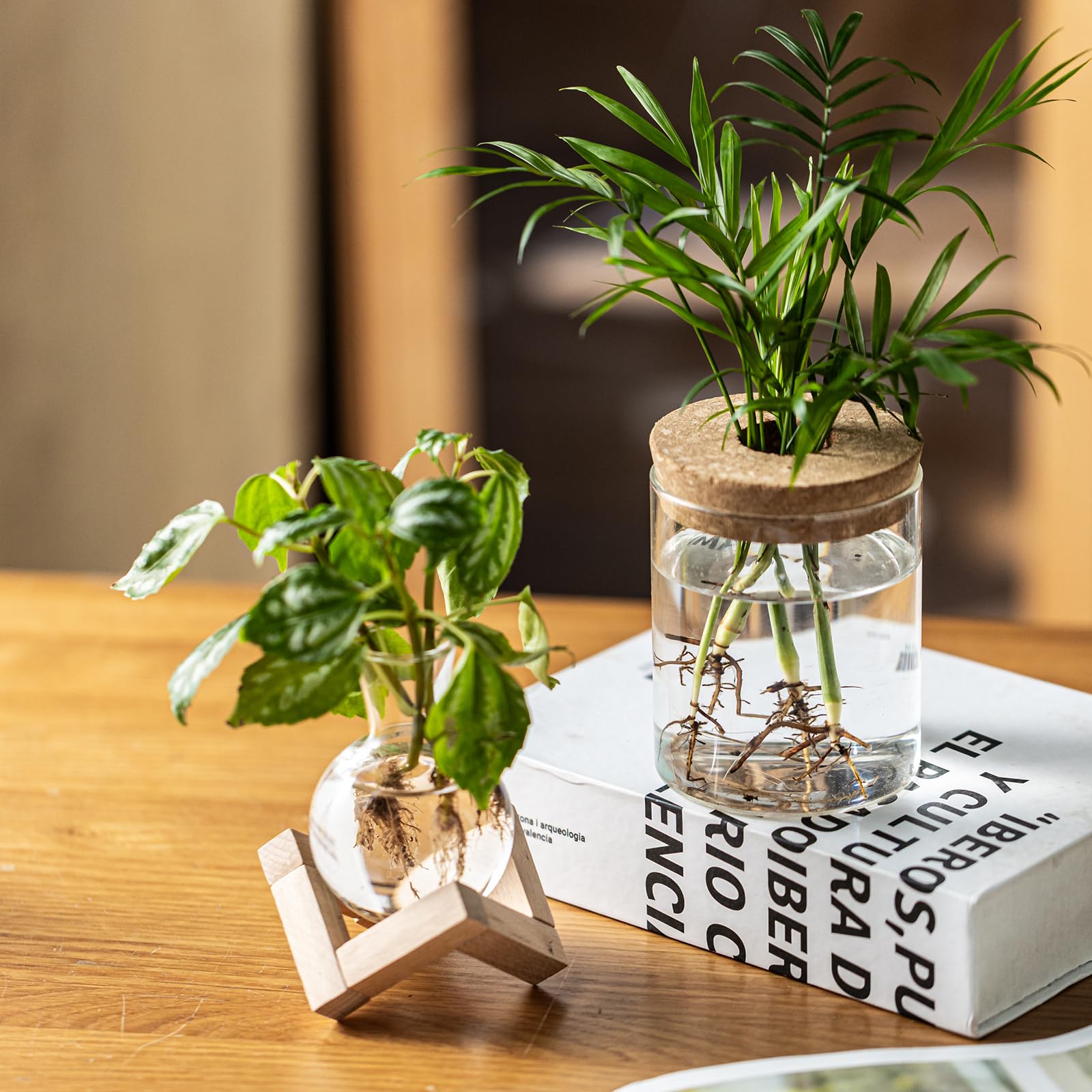 JGKYLDZ minimalist boho decor pairings with indoor plants.