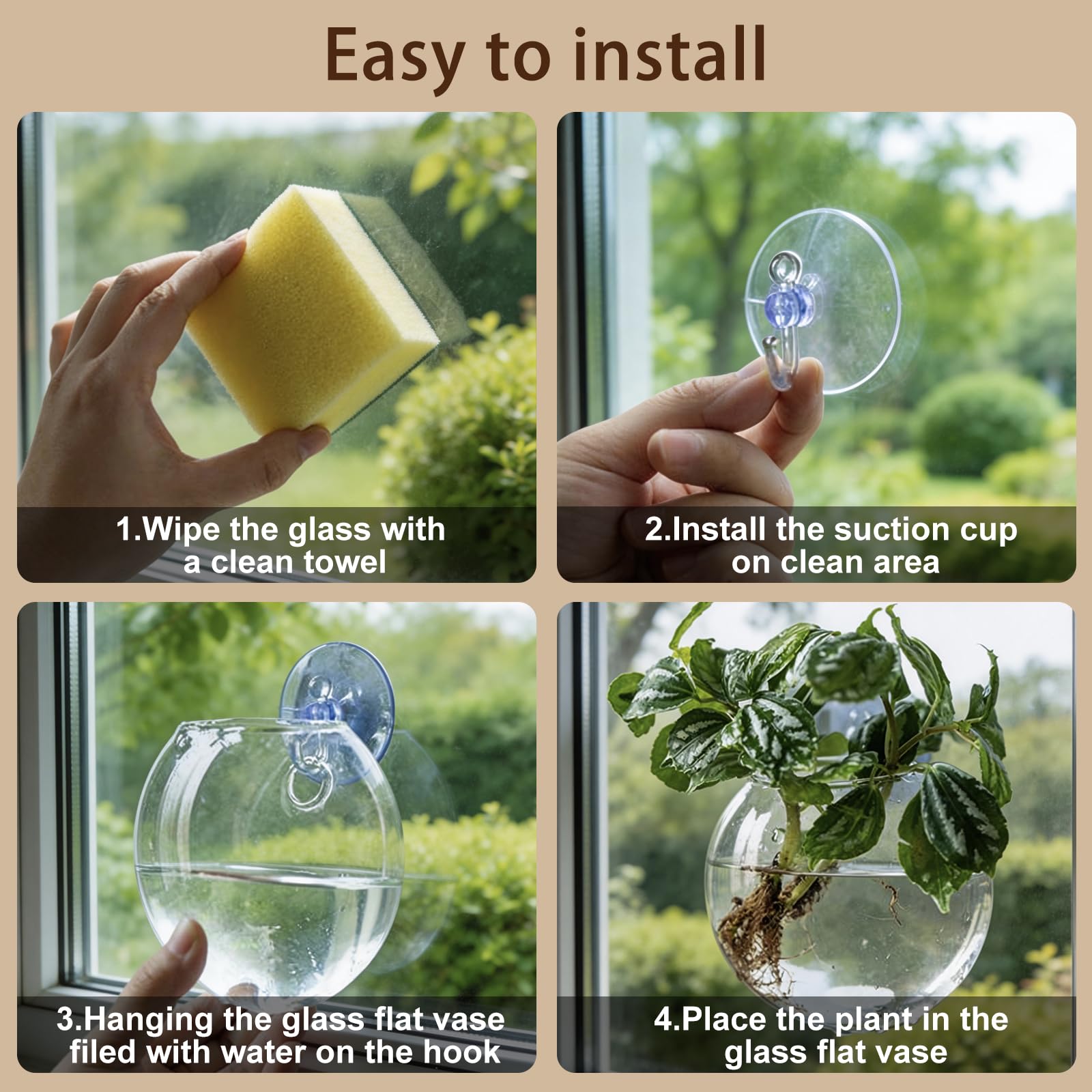 JGKYLDZ oblate glass terrarium shows root growth during propagation.