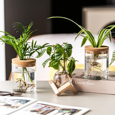 JGKYLDZ table-top decor display suitable for home or office spaces.
