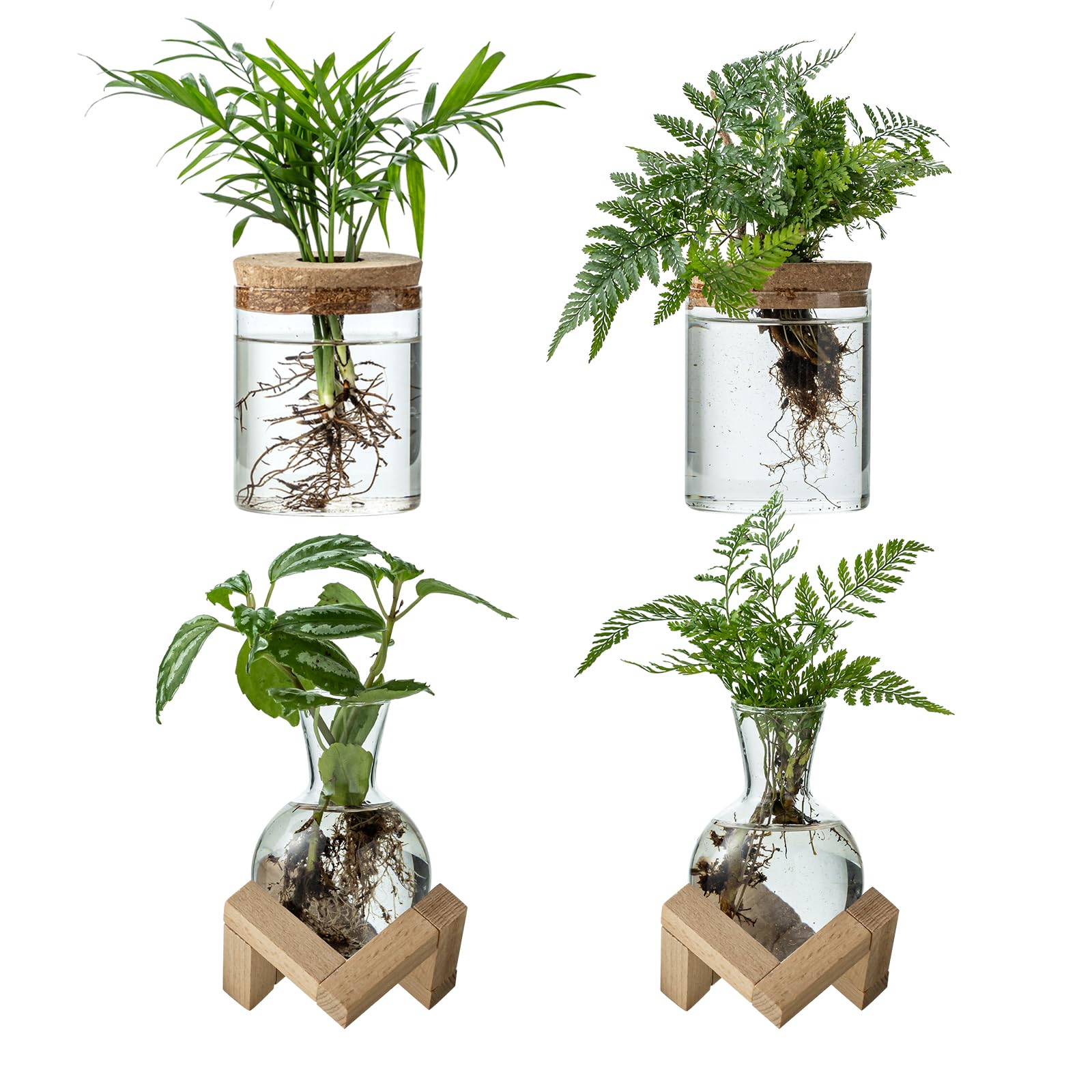 JGKYLDZ two-style glass terrarium set on a desk for easy hydroponic viewing.