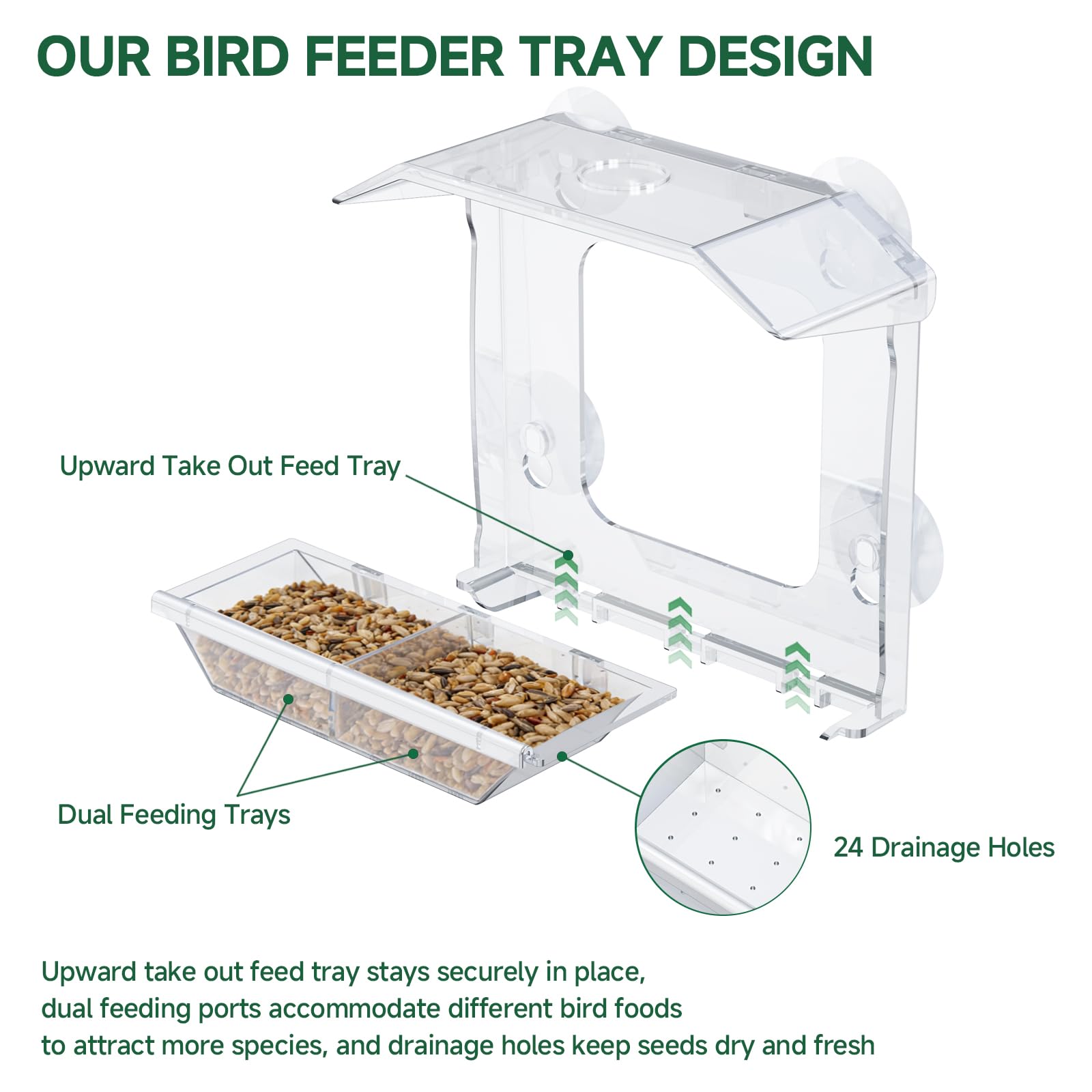 JICYOUP window feeder dual seed tray attracts more species
