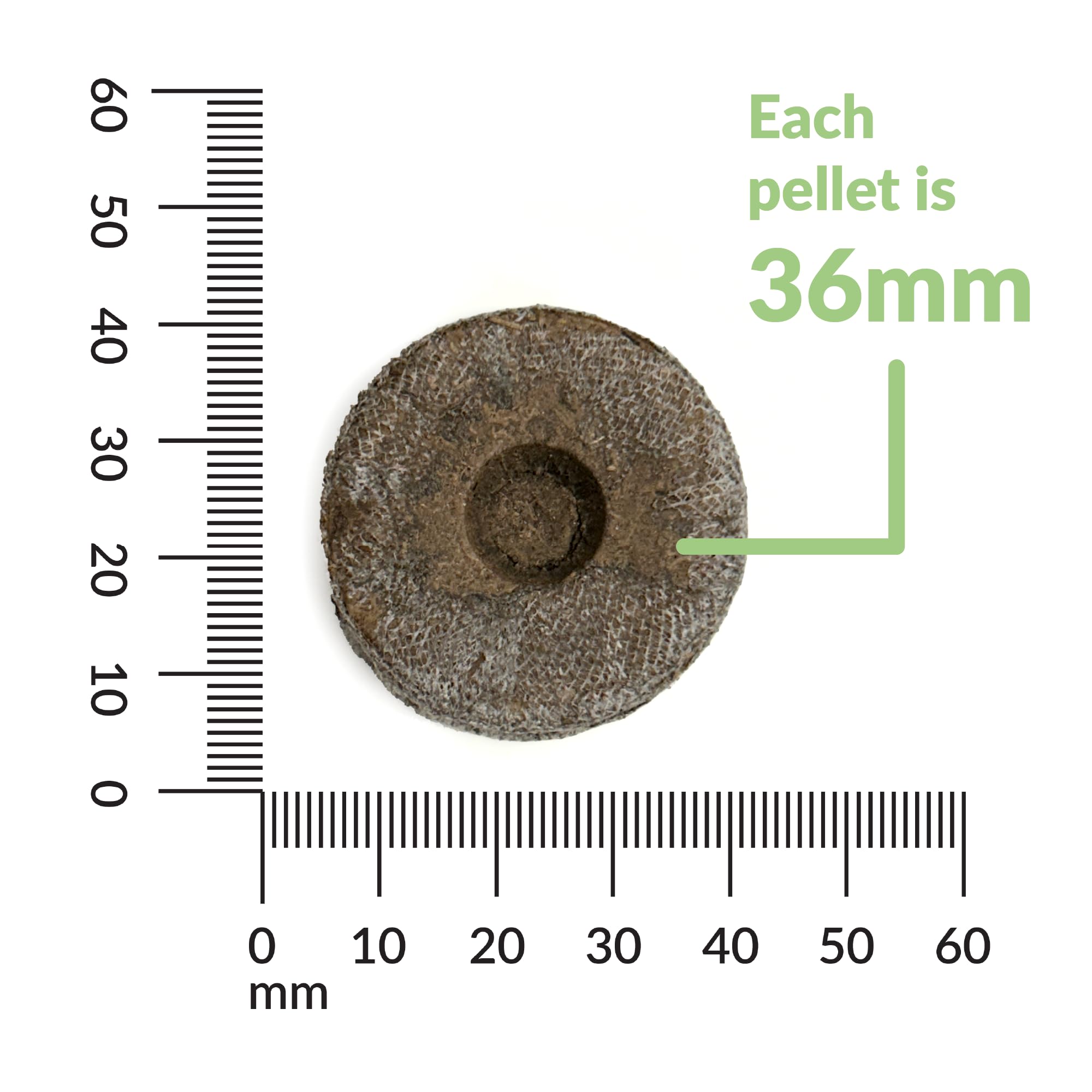 Close-up of Jiffy 36mm pellet with built-in netting