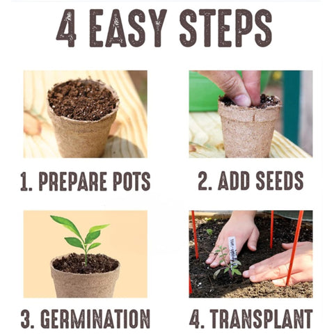 Jiffy 24-pack seed starting pots for multiple plants.