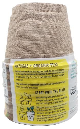 Jiffy biodegradable pots support healthy root growth during transplanting.