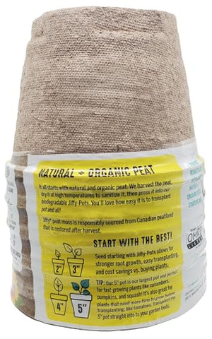 Jiffy biodegradable pots support healthy root growth during transplanting.