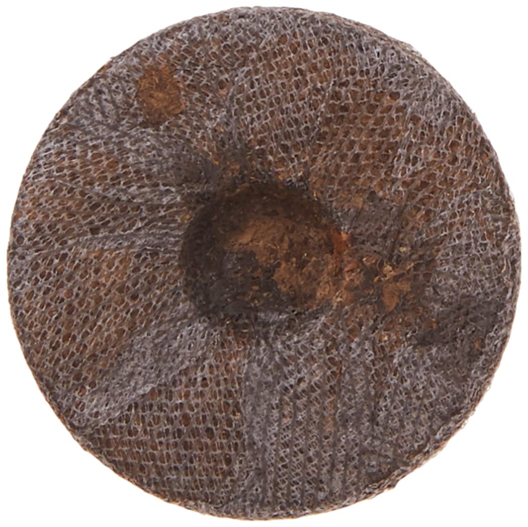 Jiffy J3R36 pellets expand when hydrated, illustrating peat expansion