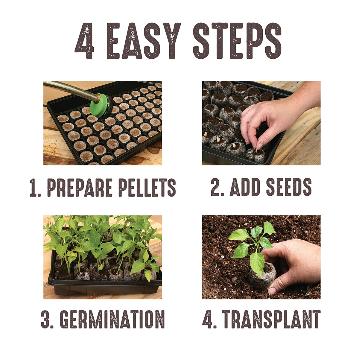 Organic peat soil compact pack ready for garden-ready seedlings