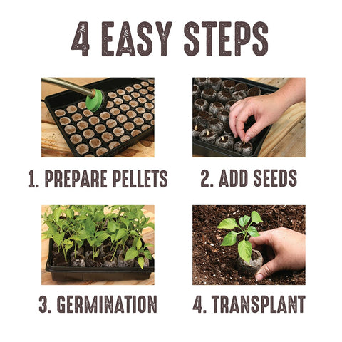 Organic peat soil compact pack ready for garden-ready seedlings