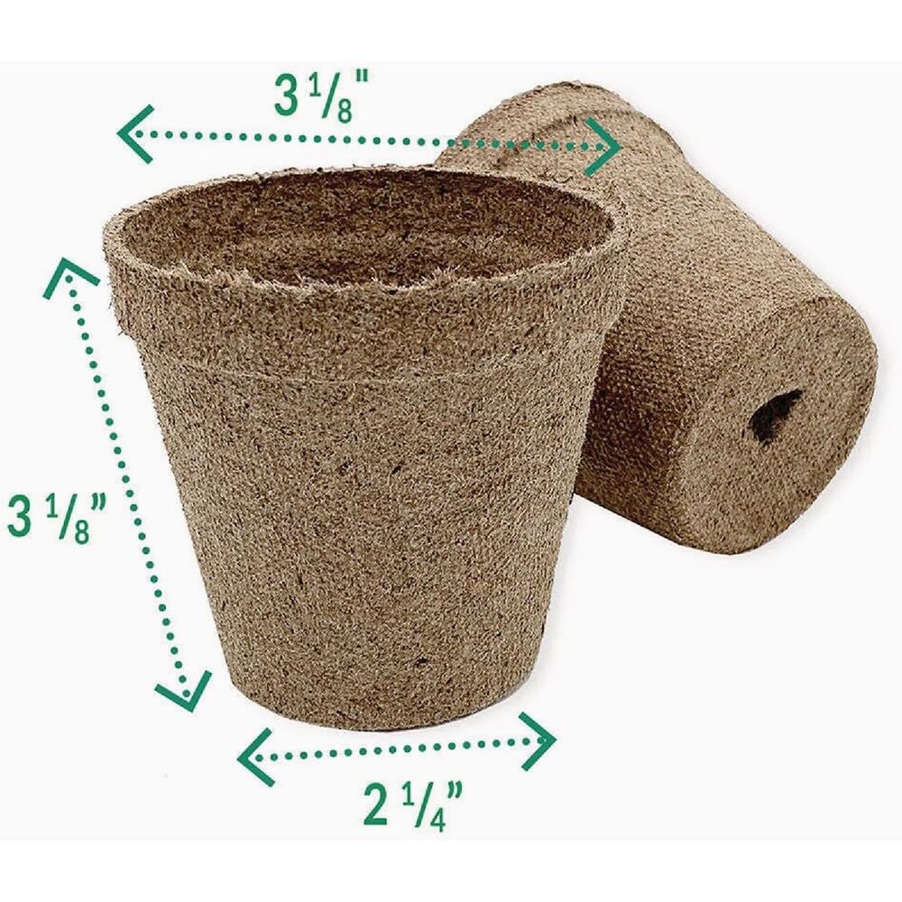 Jiffy peat pot biodegrades in soil while supporting robust root development