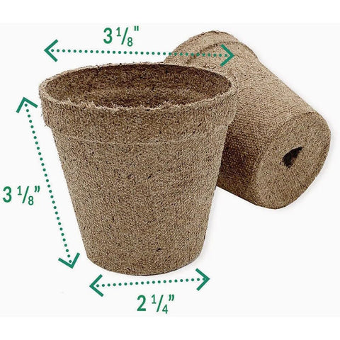 Jiffy peat pot biodegrades in soil while supporting robust root development