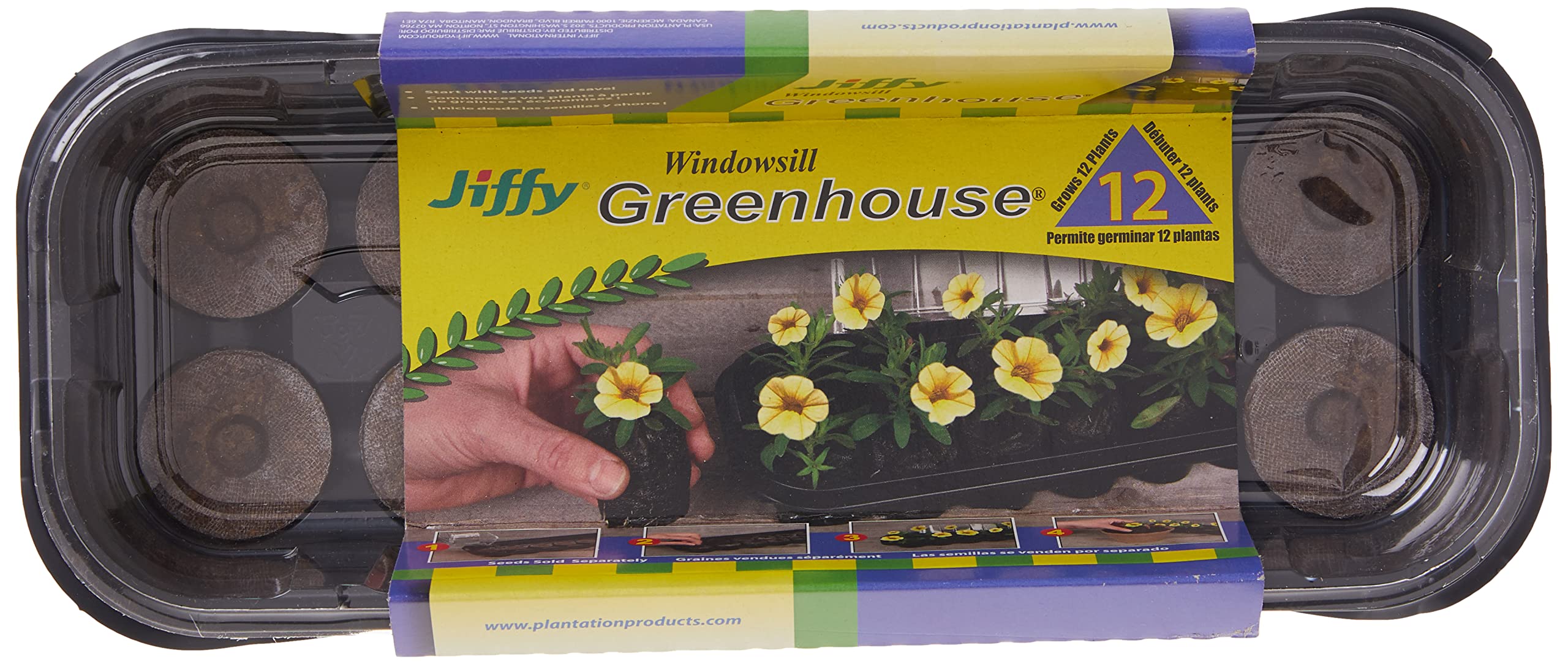 Jiffy pellets expand seven times when moistened for root development.