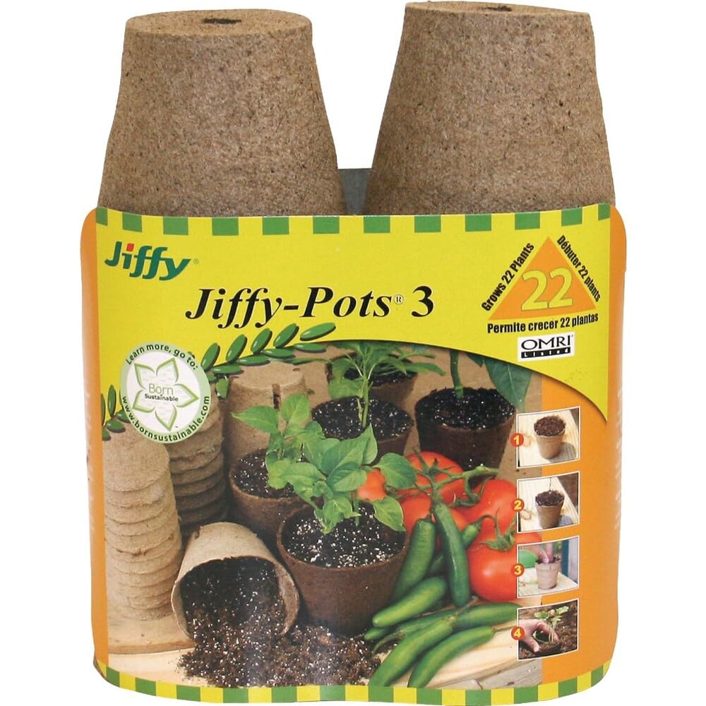 Jiffy plant pot three-inch seedling on a tray for easy starting