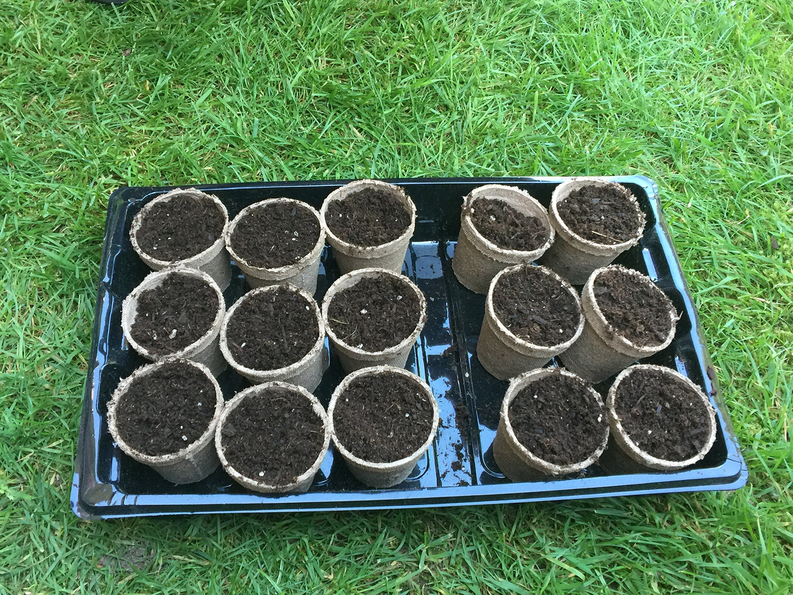Jiffy-Pots 26-pack ready for multiple crops in garden bed or containers.