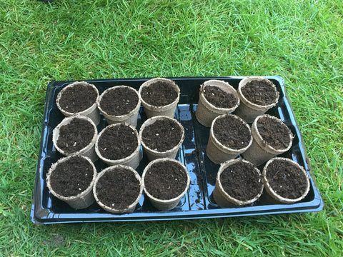 Jiffy-Pots 26-pack ready for multiple crops in garden bed or containers.