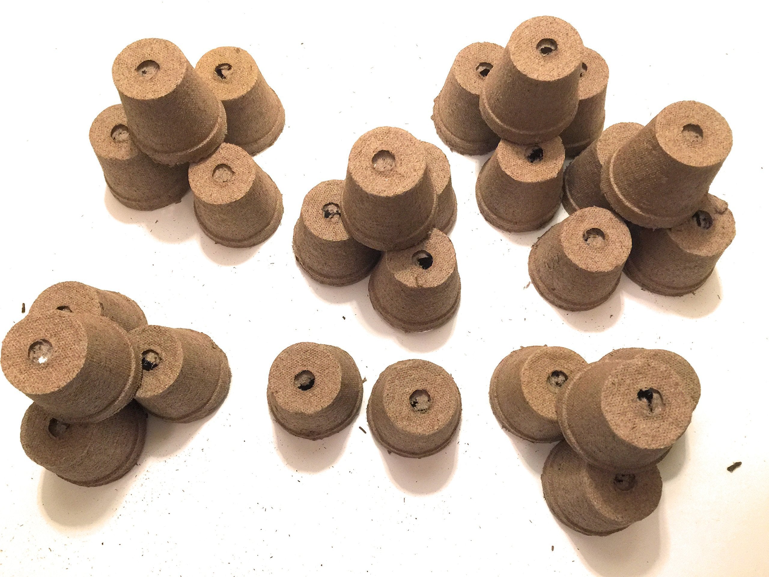 Jiffy-Pots peat offers moisture retention to support young roots.