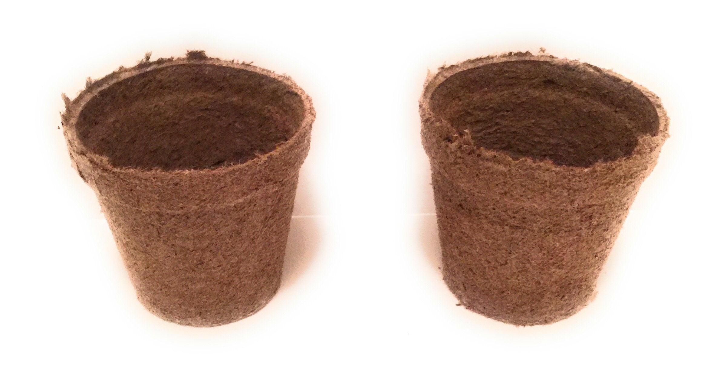 Transplanting a seedling with the Jiffy-Pots to soil or a container.