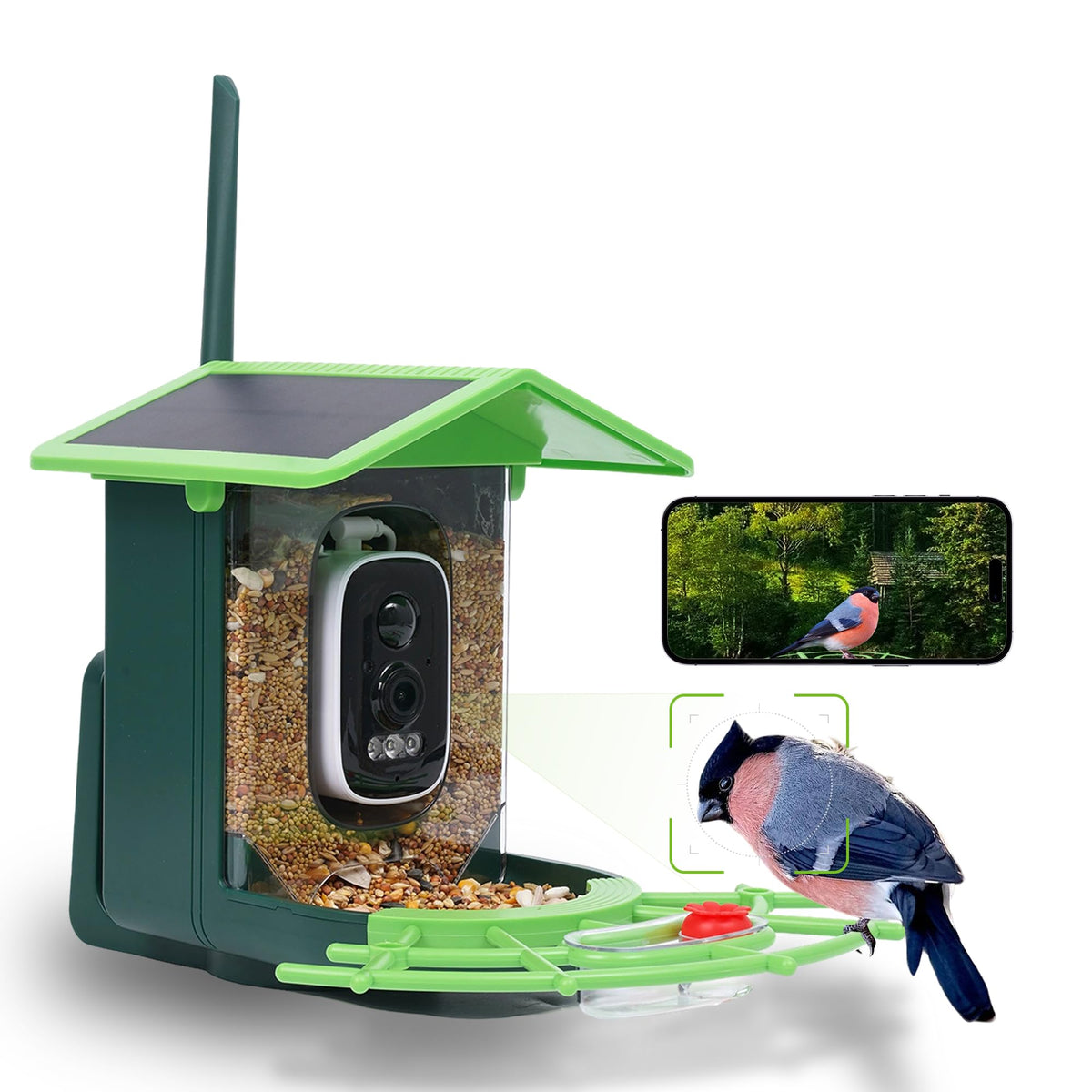 JIFUGLOB bird feeder camera front view for clear footage and ID