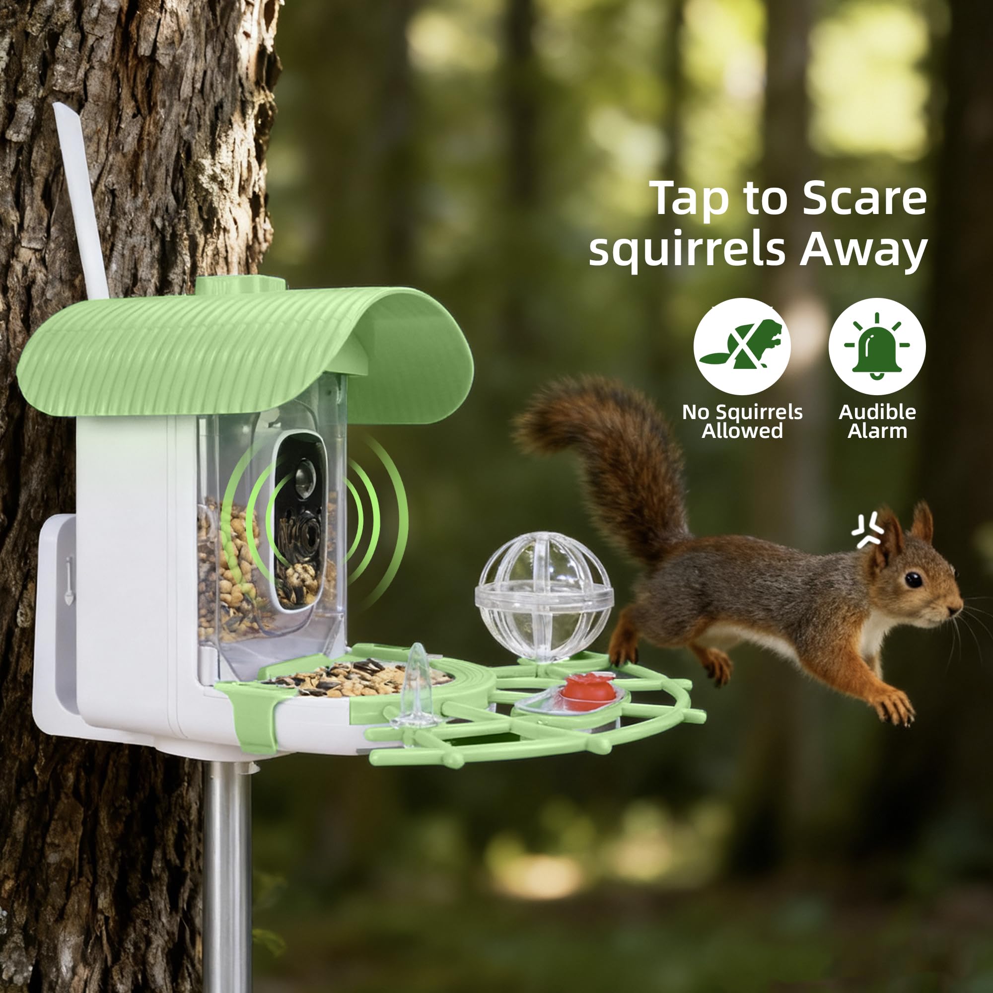 Large feeding container supports longer visits by backyard birds