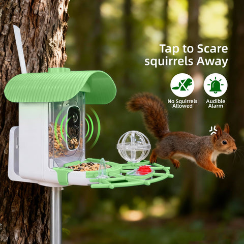 Large feeding container supports longer visits by backyard birds