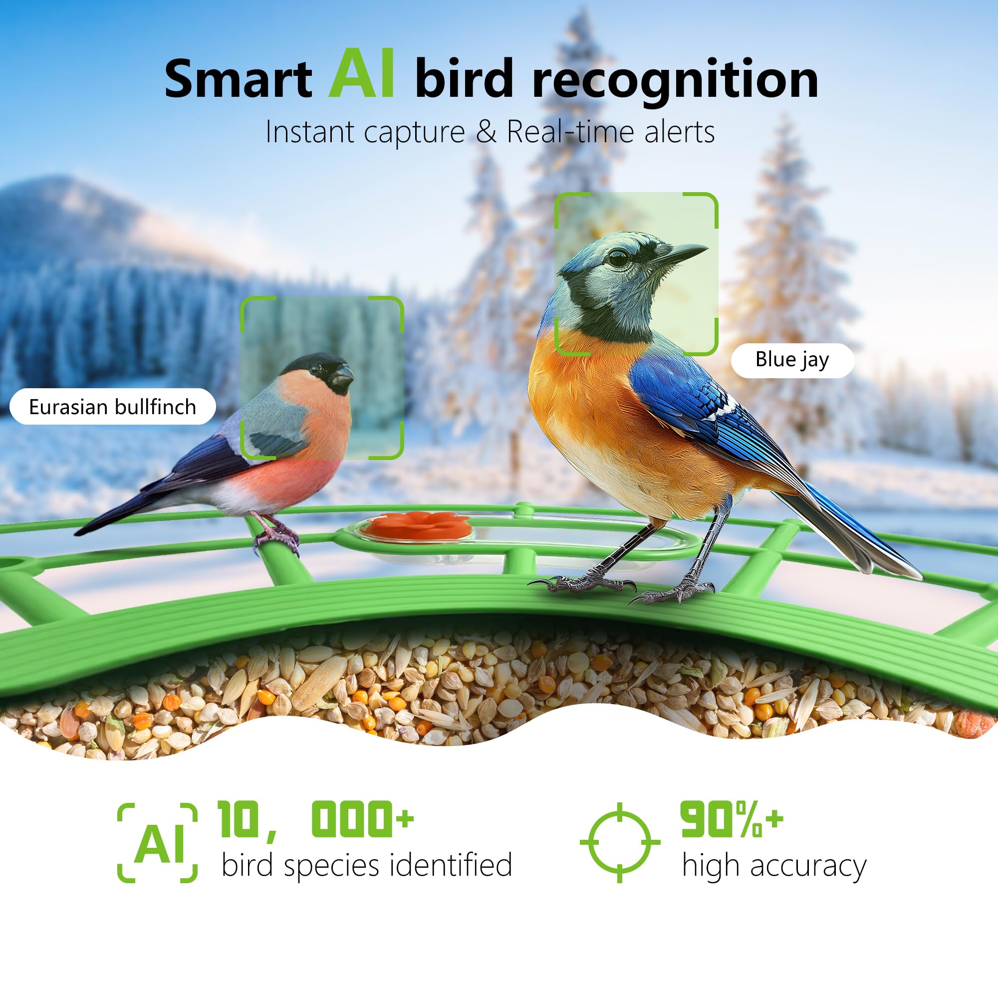 JIFUGLOB bird feeder in garden with live view and alerts