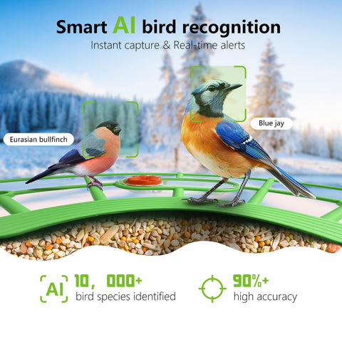 JIFUGLOB bird feeder in garden with live view and alerts