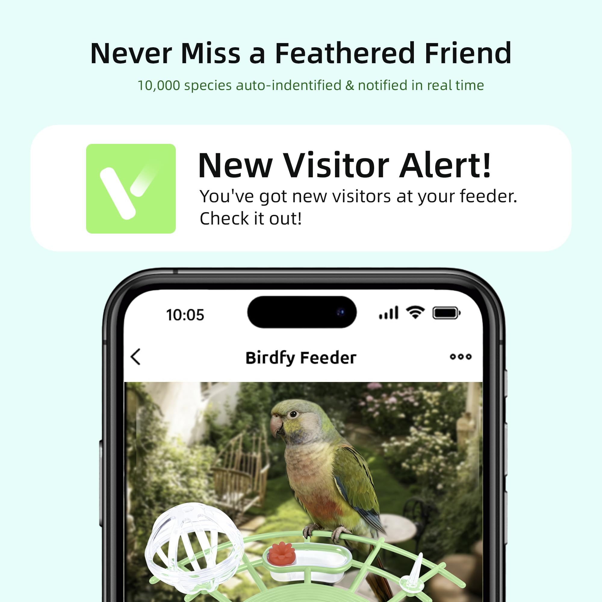 AI-powered detection highlights species with instant alerts on your phone