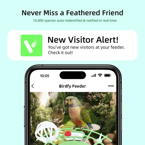 AI-powered detection highlights species with instant alerts on your phone