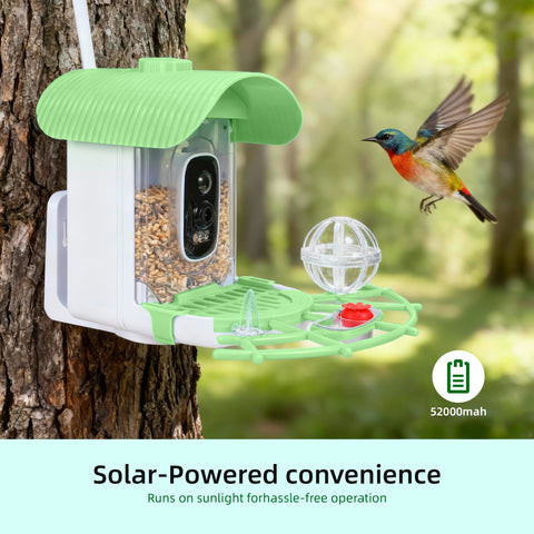 Solar panel and 5200 mAh battery provide uninterrupted power