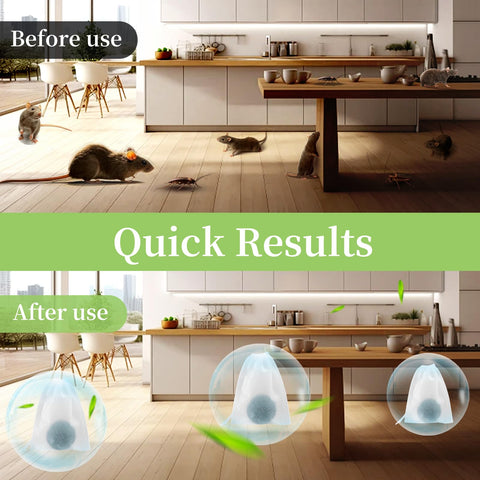 Jin&Co pet safe label confirms family friendly formula