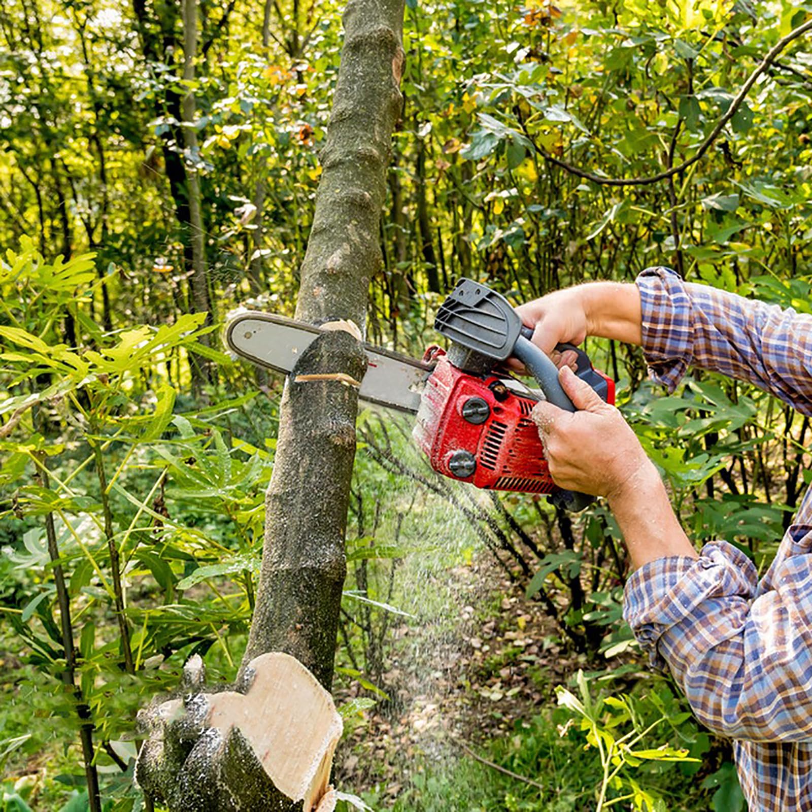 JINFFR 6-inch chain designed for Remington and Oregon saws tackling pruning