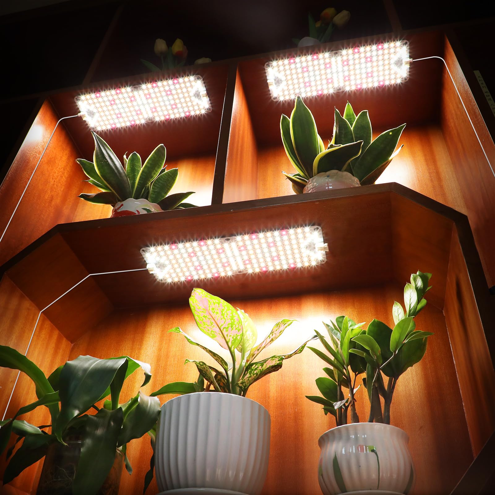JINHONGTO seed-starting scene shows seedlings thriving under the slim panels.