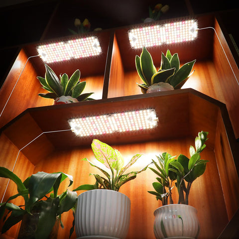 JINHONGTO seed-starting scene shows seedlings thriving under the slim panels.
