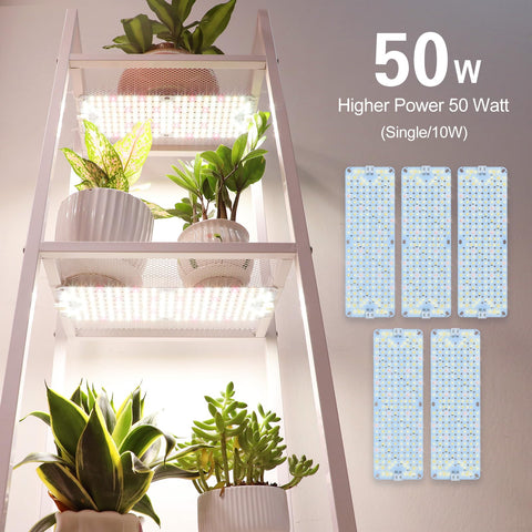 JINHONGTO 5Pack panel close-up highlights durable LEDs delivering reliable spectrum.