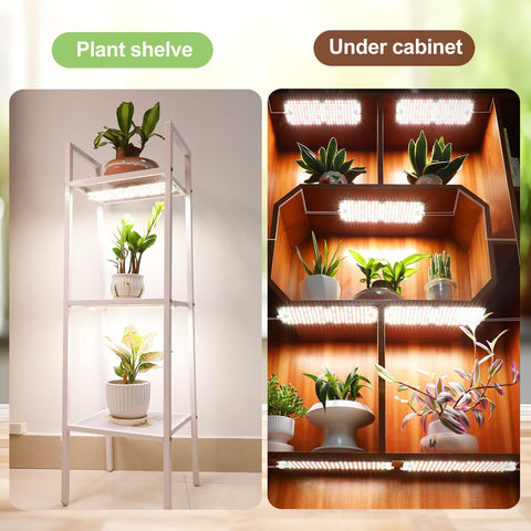 JINHONGTO full-spectrum light enhancing plant color and growth