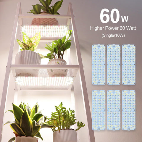 JINHONGTO greenhouse setup with ultra-thin panels for uniform canopy