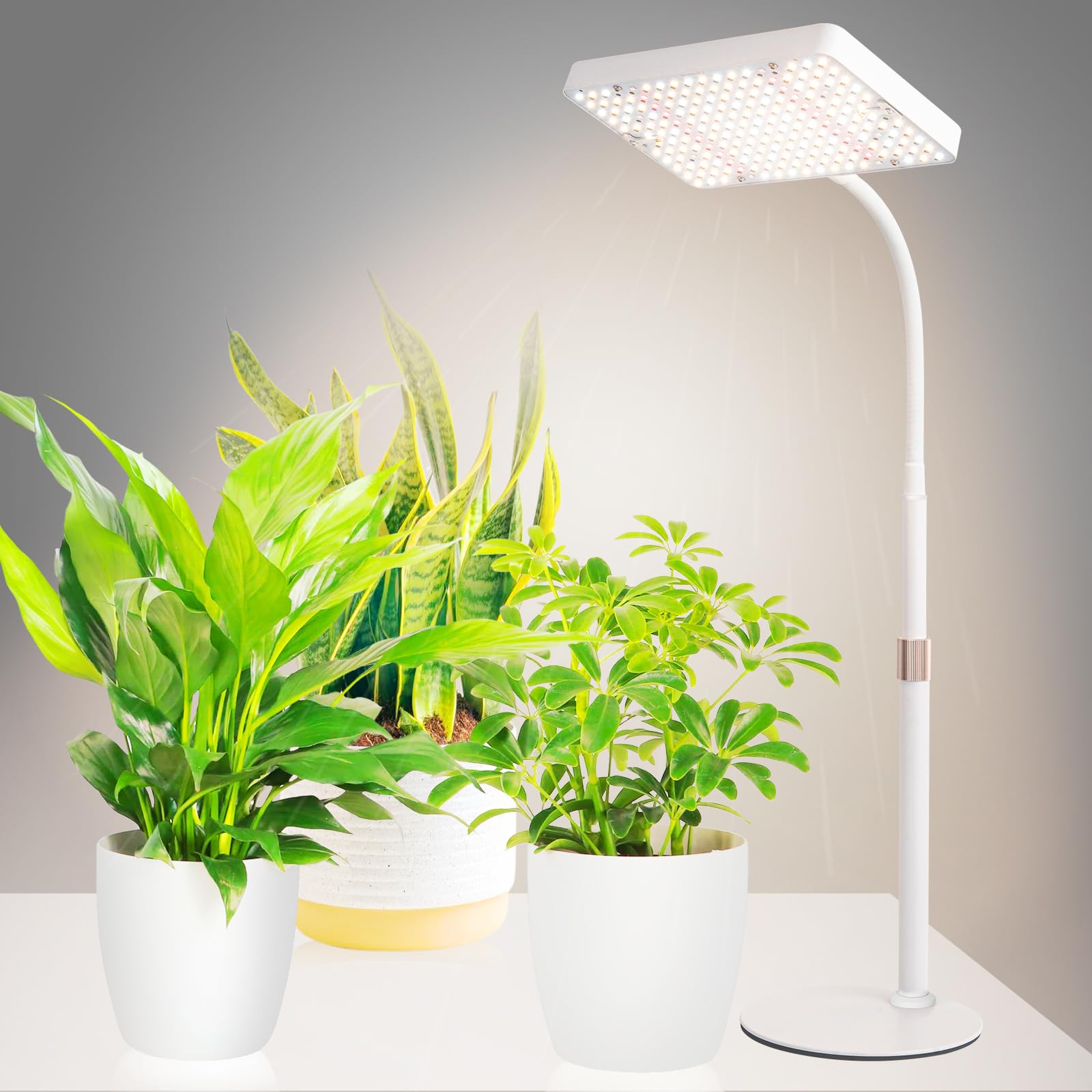 JINHONGTO Desk Grow Light showing the stable base and desk setup for reliable lighting.