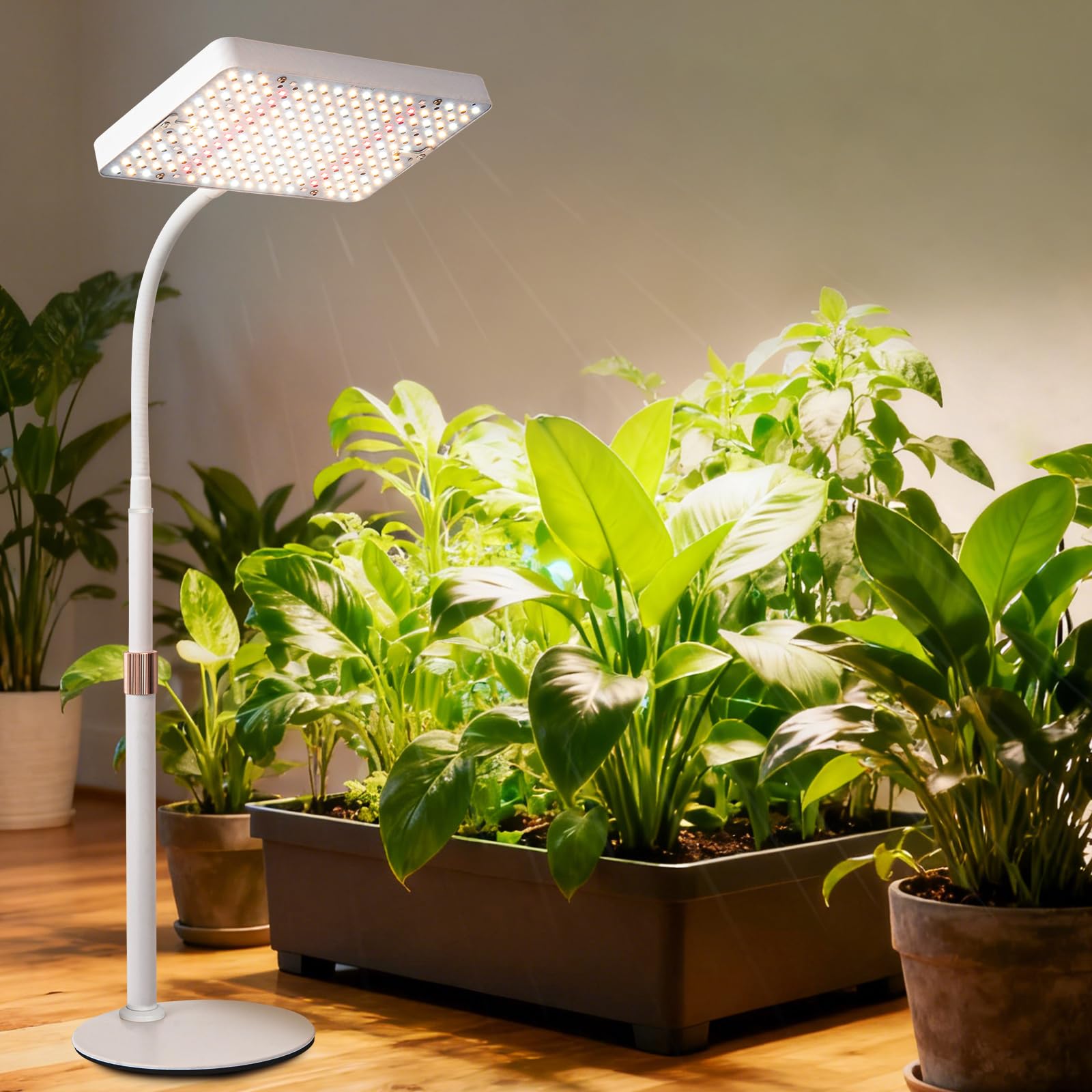 JINHONGTO Desk Grow Light with height-adjustment for customizable seedling spacing.