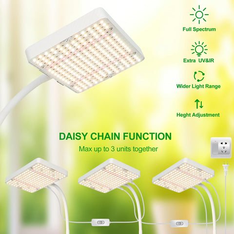 JINHONGTO Desk Grow Light connected via daisy chain for multiple fixtures from one outlet.