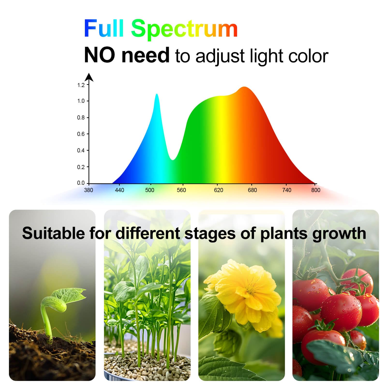JINHONGTO full spectrum bonsai grow light supports healthy foliage and vibrant growth.