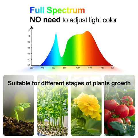 JINHONGTO full spectrum bonsai grow light supports healthy foliage and vibrant growth.