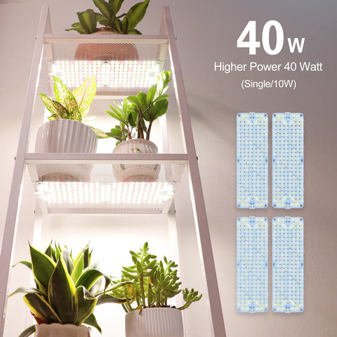 JINHONGTO true full-spectrum light supports healthy growth.