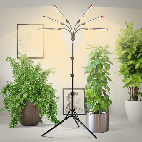 JINHONGTO no adapter design saves setup time and reduces clutter.